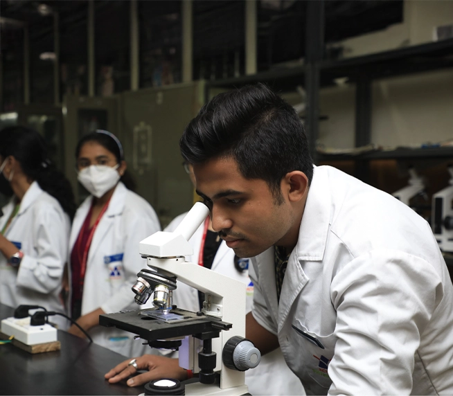 bachelor-occupational