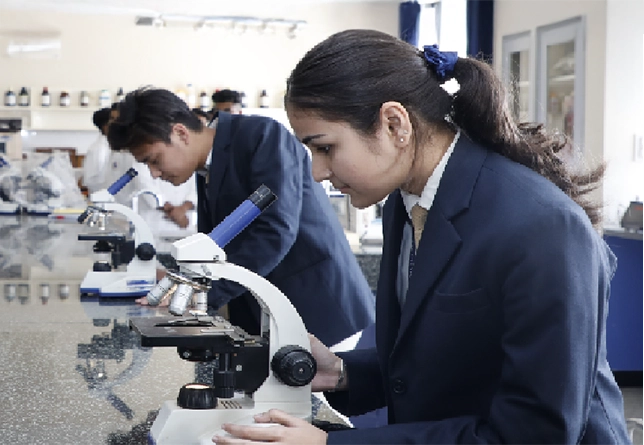 bachelor-occupational