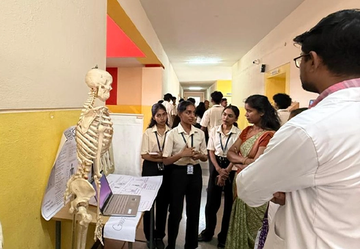 Anatomy1